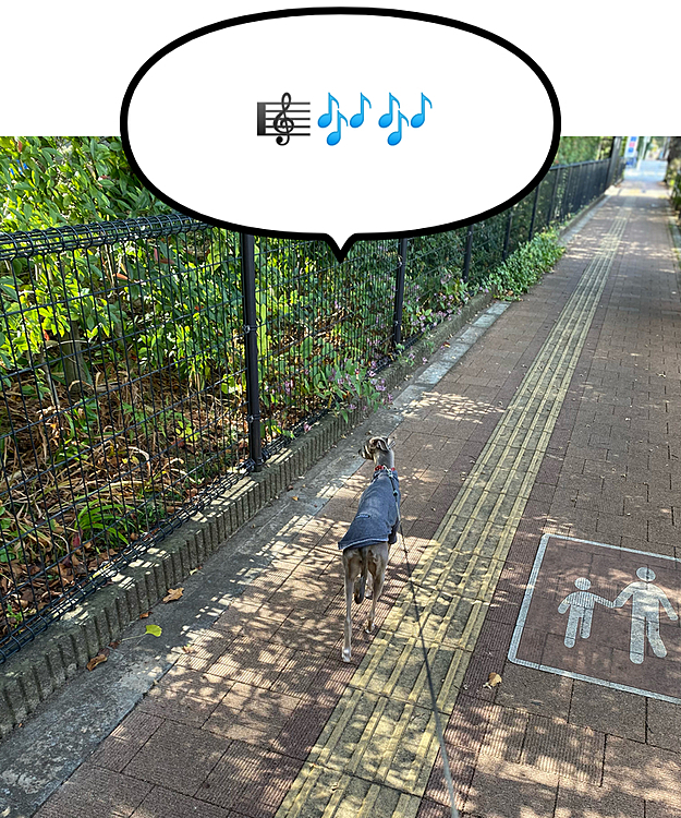 ご機嫌♪