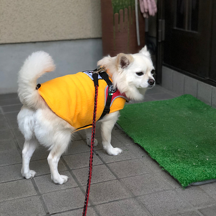帰ってきたら、早よ開けてよ‼️って🤣
