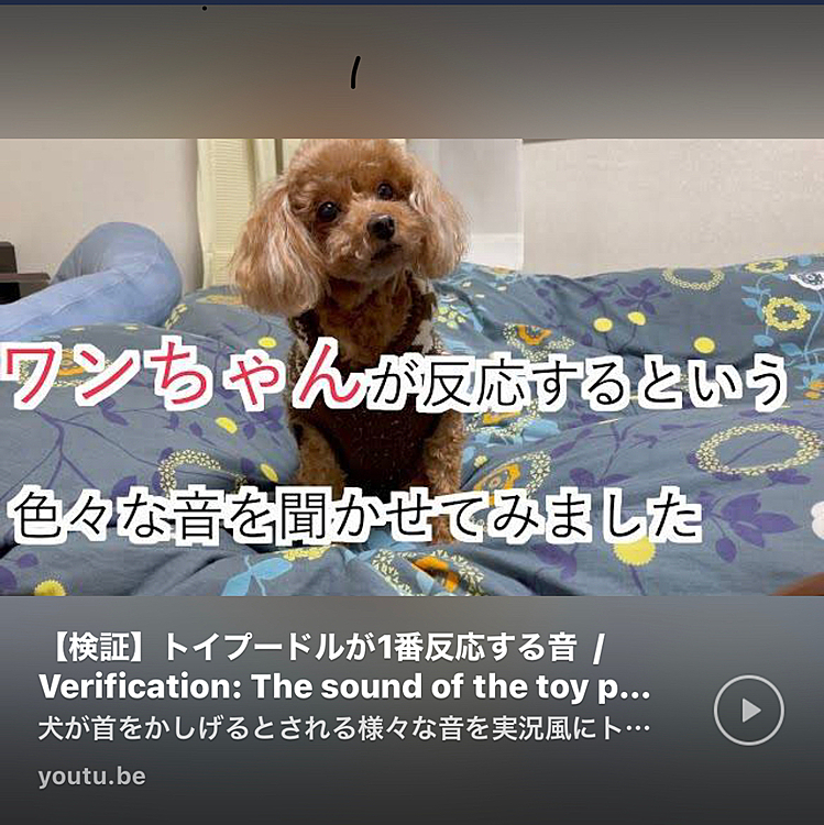 サウンド360チャンネルと検索して是非観てください。宜しくお願いします。