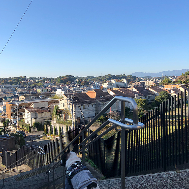 まろ地方、今日も良い天気です❣️