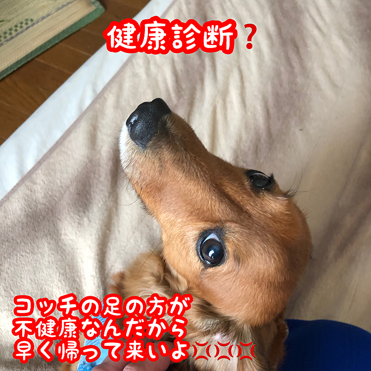 ハイハイ💦もぉすぐ帰りますよ😅💦💦💦