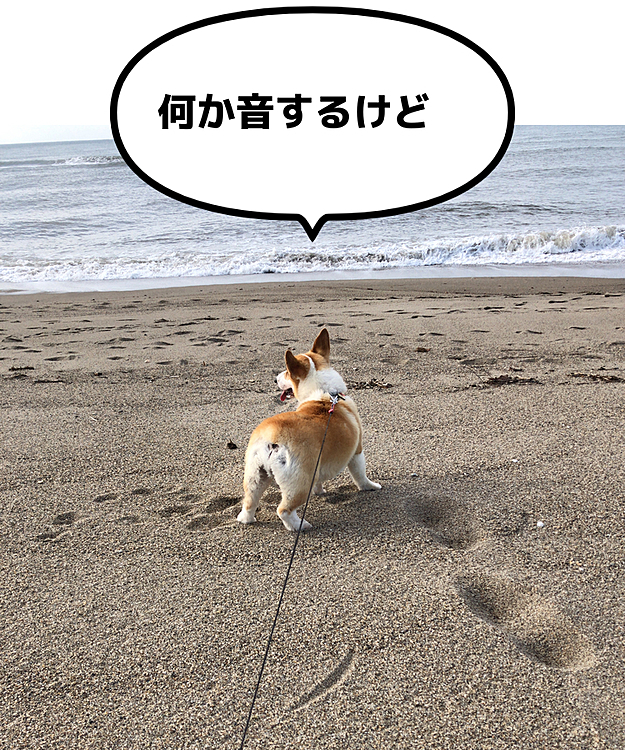 波の音だよ😃
波ってなーに？
行ってみよう😃