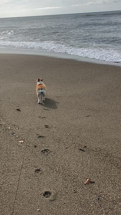 波ってなんだ？
ん？あれー？何か襲ってきたぁ😱😱
やべー🌀逃げろー😱
ビビったぁ😱
もう一回行ってみよー🤣
ひゃー🤣楽しい〜🤣🤣🤣
突然覚醒する、まあるでした🤣
