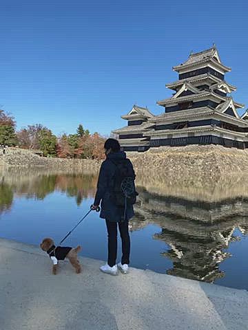 その後は松本城🏯
ハッピーと見るのは初めて👀
やっぱり素敵✨✨
夕方白馬に到着してまずはスノーピークへ❄️
夏に見て気になっていたリュック、買わずに後悔して名古屋で見に行ったけど無かったので先月誕生日のパパさんへプレゼントしました🎁
夏には見なかった犬用品もありましたがなかなかのお値段だったのでとりあえず保留💦
このホテルは犬専用では無く犬🆗の部屋が数部屋あるホテルなのでレストランには入れません😢
テラス席のみ🆗なので寒空の中お外です😅
でもお陰でNO密なのでこのご時世にはちょうど良いね🎶