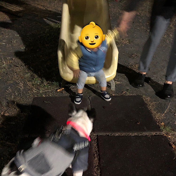 今日も小っちゃい怪獣（長男の子ども）来襲😆
夜ご飯の後、外に出たいというので一緒にすぐ近くの公園へ行って来ました。