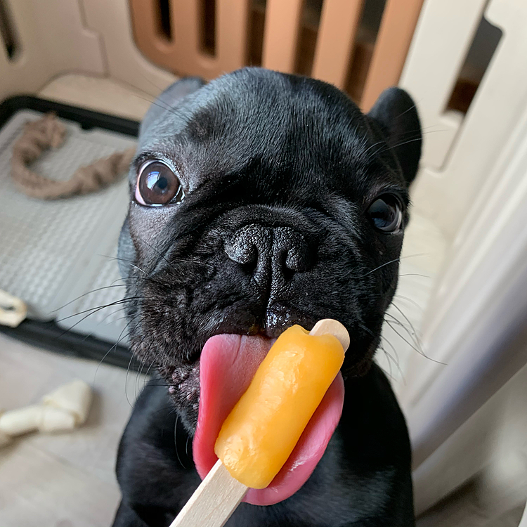 カミ • 까미の投稿