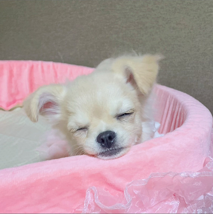 おねむちゃん❤