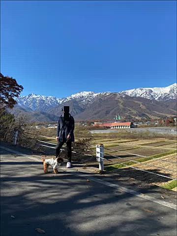 白馬連峰が見渡せると言う素敵な場所に行きましたが、もう少し先 山の上まで登ってみる事に👣
5分ほど登り振り返ると息を呑む美しさ🏔
この景色を堪能するべく車にブルーシートとドリンクを取りに行きました😉
何と言う贅沢な時間なんだろう💗
ランチは前回も何度も通ったパスタ屋さん🍝
ゴルゴンゾーラのパスタとイカ墨パスタどちらも美味しかったです😋
最後にやはりスノーピークに寄りハッピーのTシャツを買いすぐにお着替え、ソフトクリームも食べました🍦