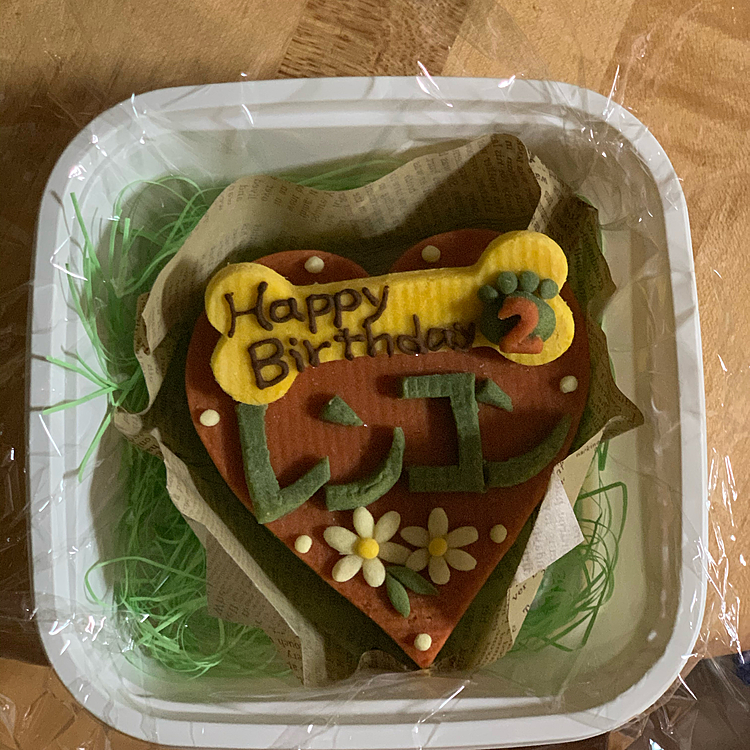 今週水曜日はマーチのトレーナーの先生のお宅のワンコ、レンコンくんのお誕生日🎉
マーチのお誕生日にケーキを作ってもらっているロビナさんでお名前ケーキを作ってもらいました🎂かわいい😍
明日レンコンくんに届けようね‼️