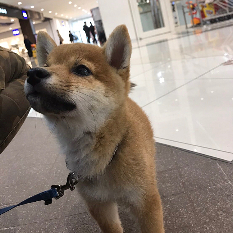 ママとあうまでご飯くれて遊んでくれてたお兄ちゃんにもあったの！