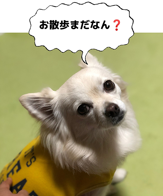 おはようございます😄
今朝もちょっと寒い💦
