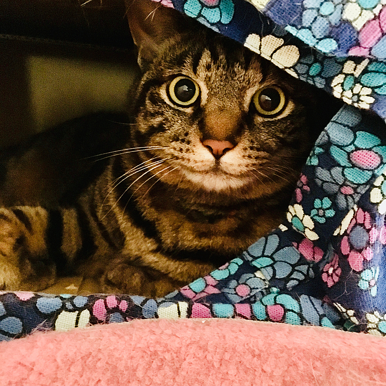 こもってたいね〜(=^x^=)
