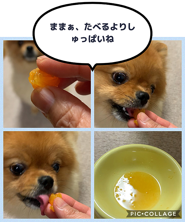 実を食べるより、絞ると酸っぱらしい😅