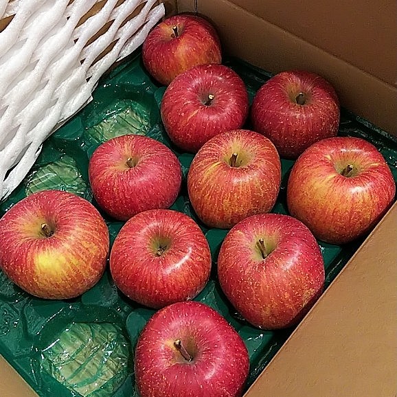 今年も山形県の知人から贈られてきたリンゴ1箱。
大きくて蜜がいっぱい。