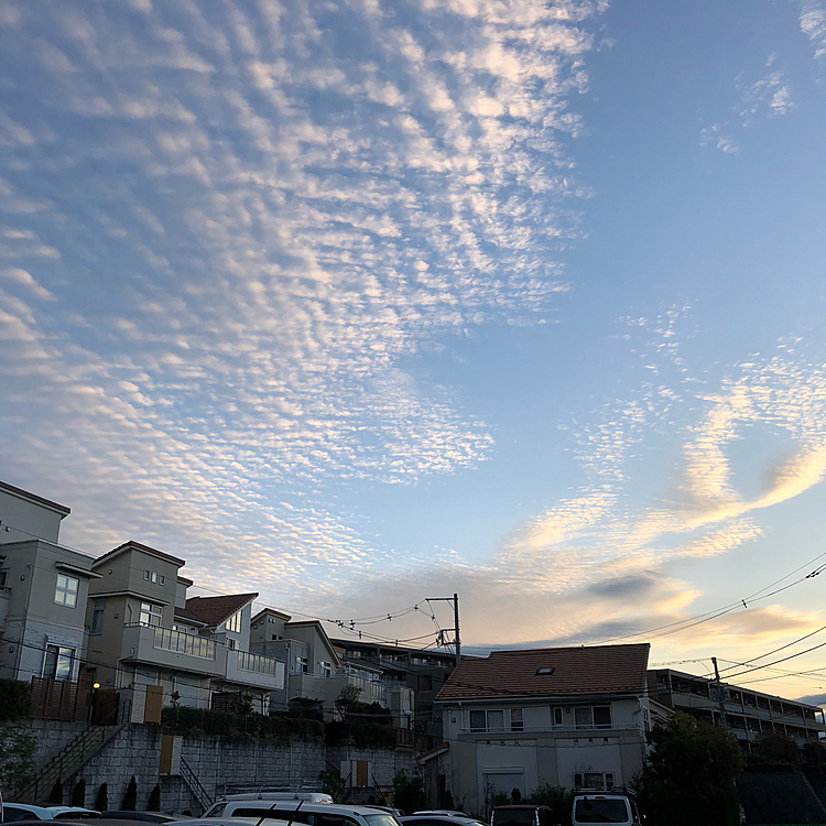 今日の朝早く家を出る時に空が綺麗だったので思わず撮ってしまいました😀