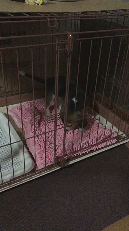 落ち着きないです😂