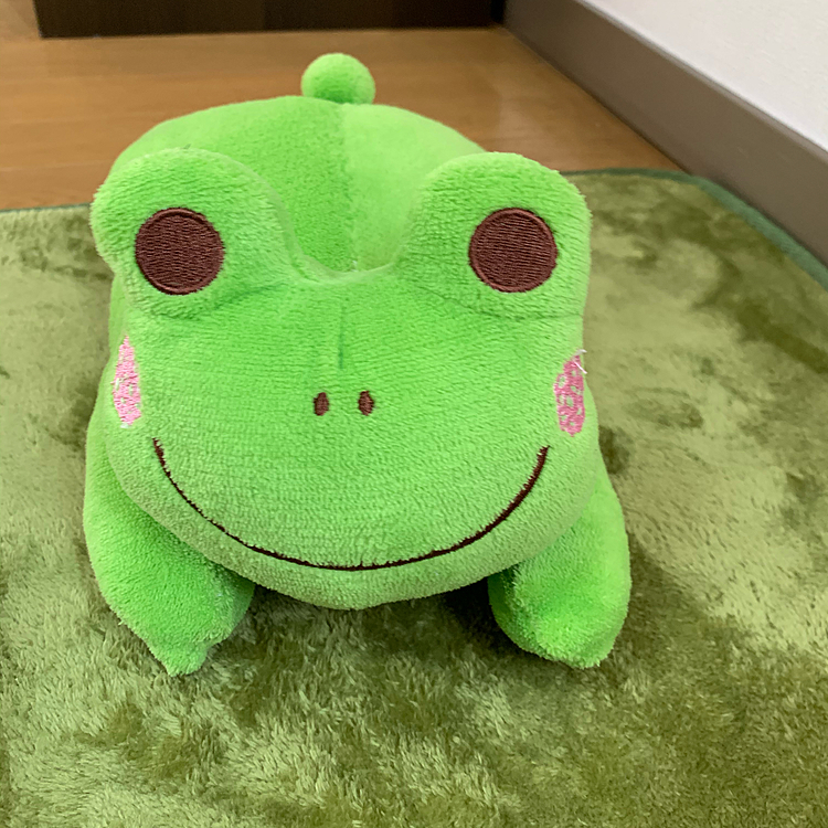 奈々の大好きなカエルさん🐸
脇のところ？から綿がでたので緊急手術！