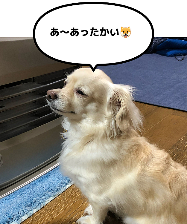 ごくらくのようです〜😆