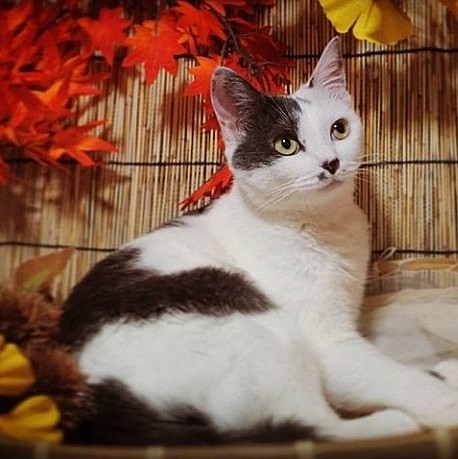 鈴はスタンダードに記念写真🍁☺