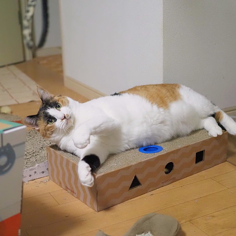 狙い定めて