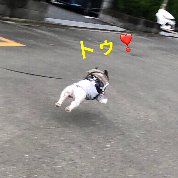 久しぶりにダッシュ💨で帰宅でした😁