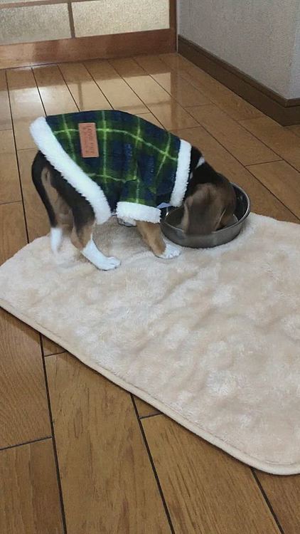 今日も完食❣️