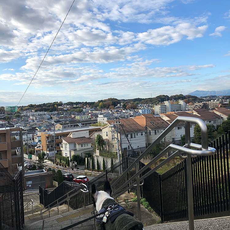 朝散歩行ってきました。
今日は昨日より少し暖かくなりそうです😀