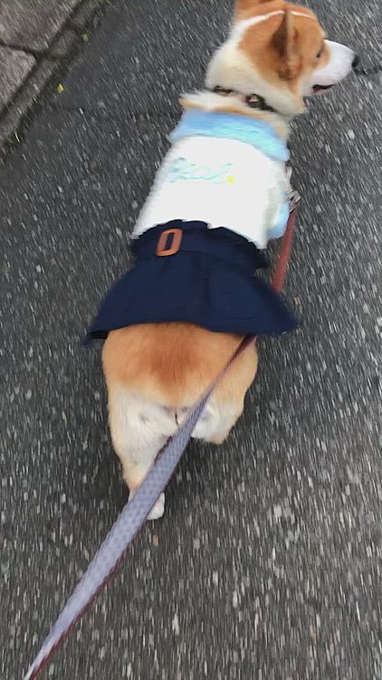 って事で、久々のまあるのオチリのアップです😍
お空の感じがもう冬だよね？
あら、待ってくれてたか😍
ありがとね😍
