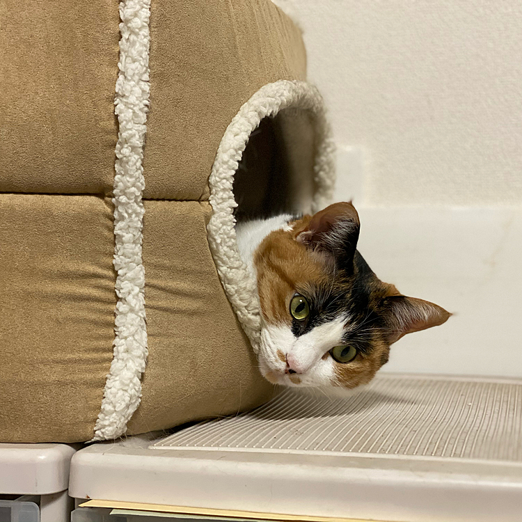 まったり。