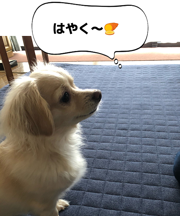 大好きなお芋を、待ってます😋
目が、真剣😆💦