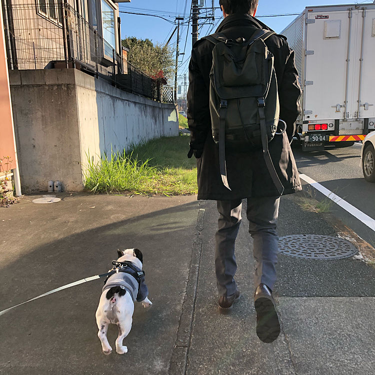 おはようございます☀
今朝のお散歩は駅に向かう次男と一緒に出発です😀