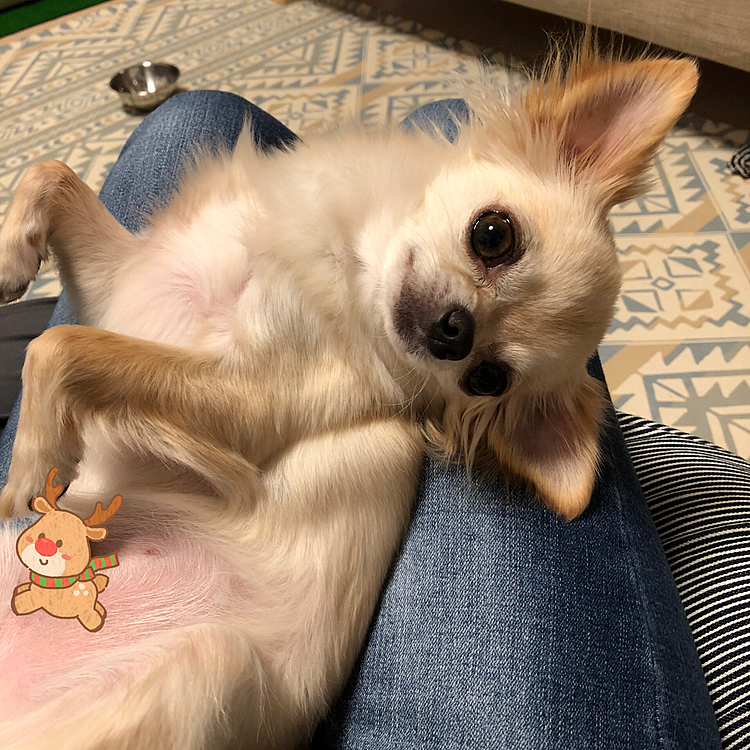 写真🤳をパシャリとしていたら何か？という感じで見てました😅