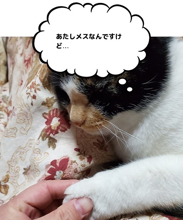 遊園地で、ボクと握手っ‼️👍
(ヒーローショーのCM懐かしッ🤣)