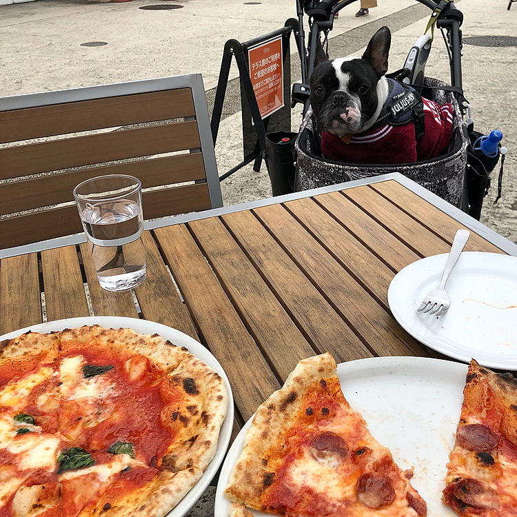 水曜日のランチ🍕半額が目的でした😅
いつもの様にマルゲリータとディアボラを頼みました😄
コロナになって暫くの期間は水曜日の🍕半額が取り止めになってましたが、また復活した様です😁