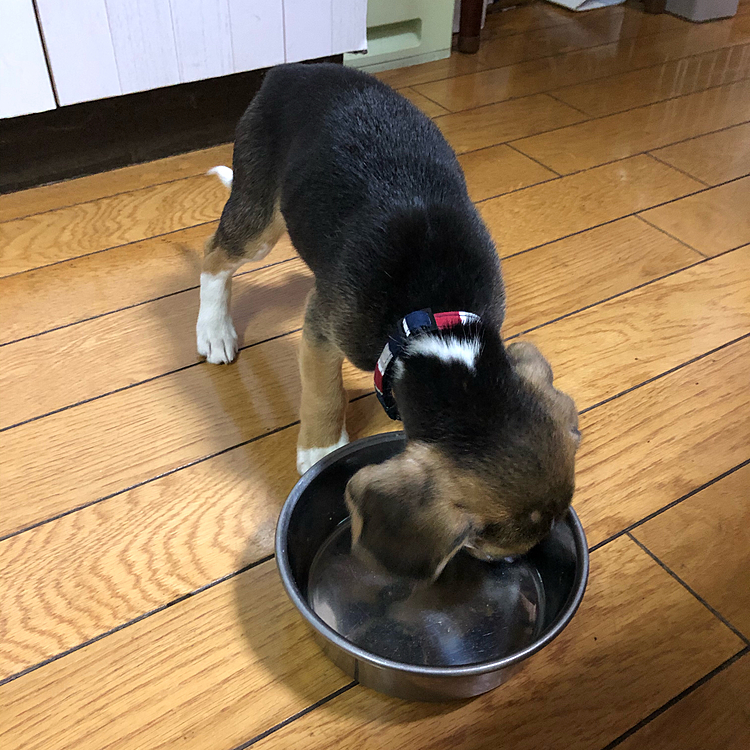 モリモリ完食🍚❣️😊