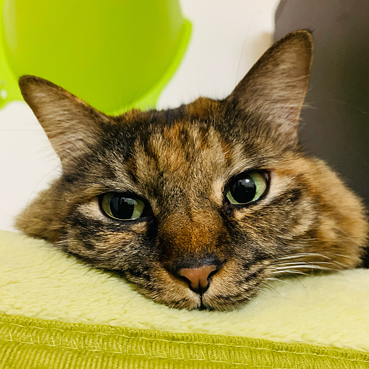 寒くて起きられない…💦(=^x^=)