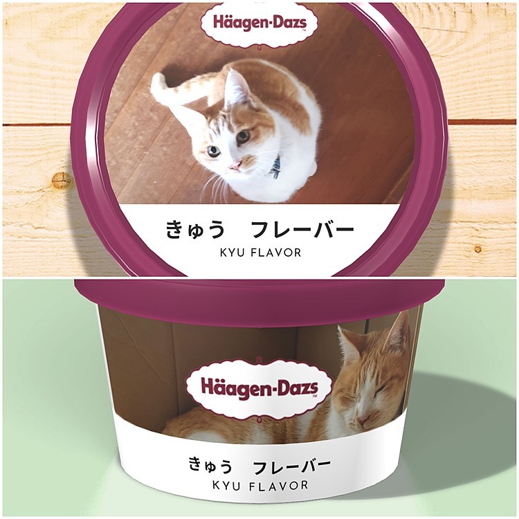 はやりに乗ってみた🏄‍♂️
｢デジタルハーゲンカップ｣
オモシロイのがあるね～😽
どんなフレーバーなのか…😅