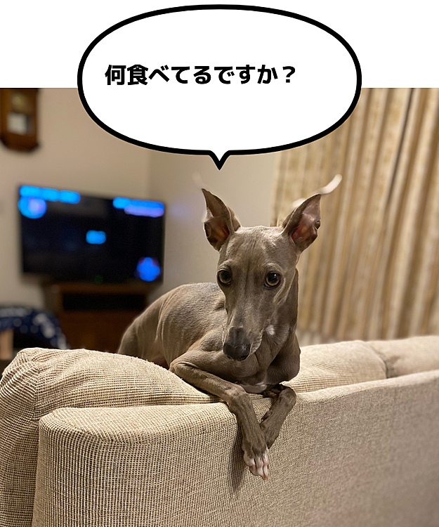 いつも見張られております😂
