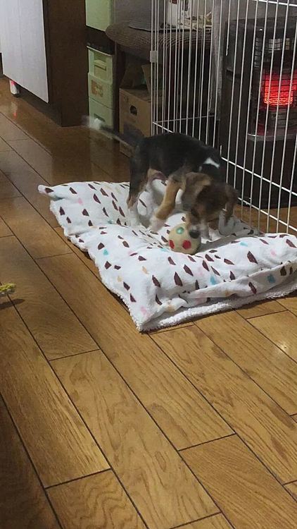 あー‼️また外しちゃった😩

外してカメラ目線🙄