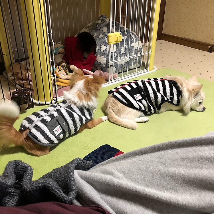 ん❓
何の列❓🤣
