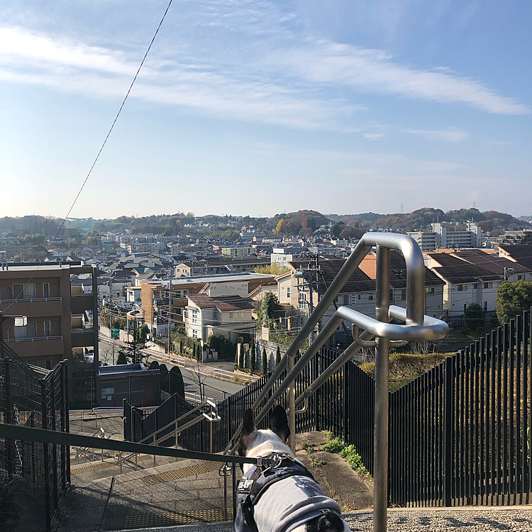 今日は日差しが暖かいまろ地方です😀