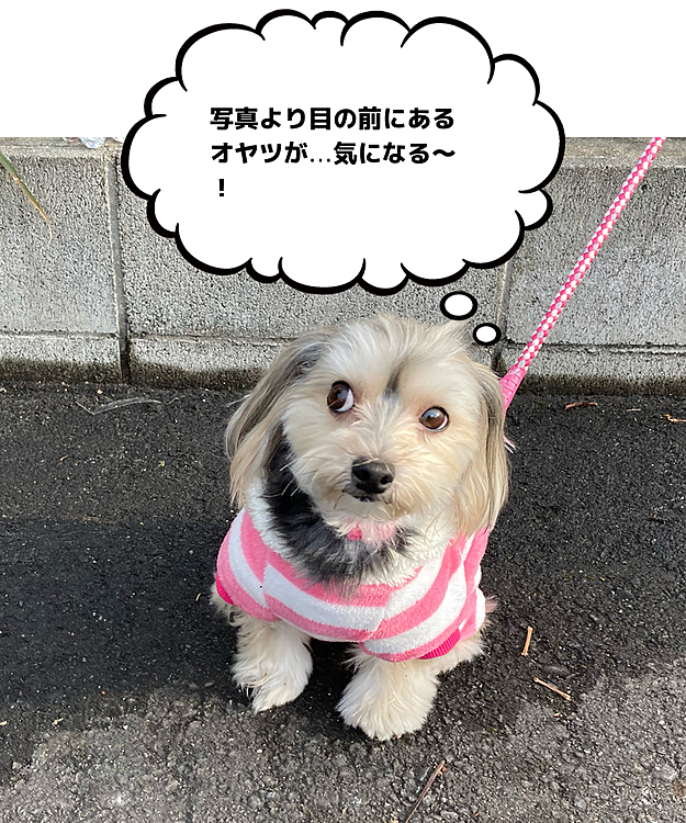 お散歩して、コンビニ前で休憩。