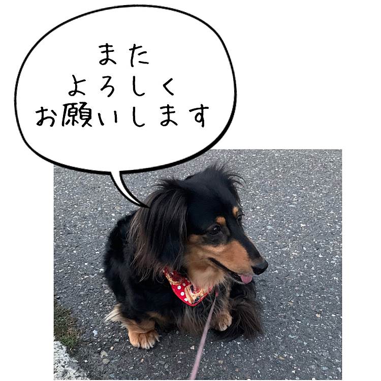 はるです🐶
よろしくお願いします❣️