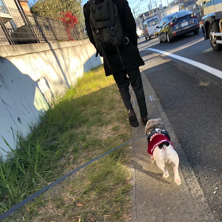 今日も駅に向かう次男と途中まで
一緒です🙂