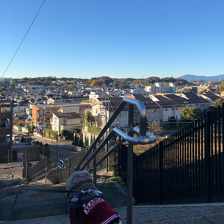 今朝は放射冷却でかなり冷え込んでました🥶
でも良い天気❣️😁