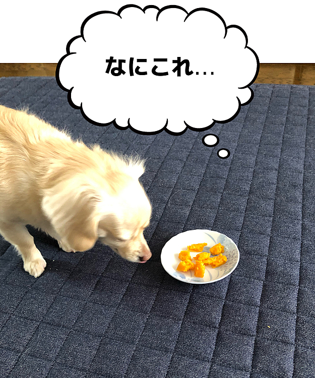 怪しげな物と思っている感じですが…
イチゴと一緒に買った、ハロウィンスイートというサツマイモ🍠ですよ〜
切ったら、オレンジ色でビックリ‼️です❗️