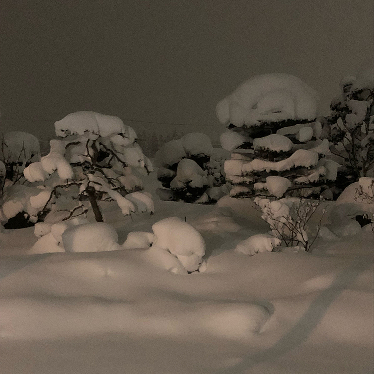 月曜日からの大雪❄️🥶
まだまだ降りそうです😩