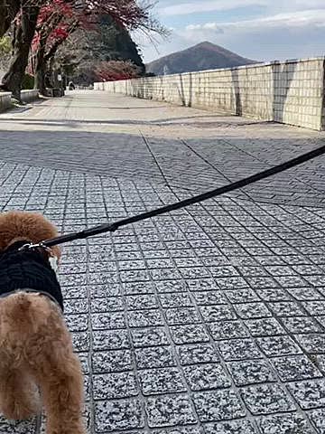 ここはお友達のルルちゃんのホームですが、この日は滋賀にお出掛けで不在でした💦