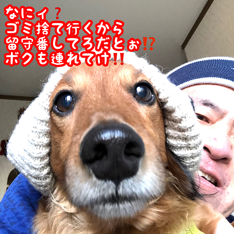 …という訳で､ニット帽被せました（人´∀`*）(笑)