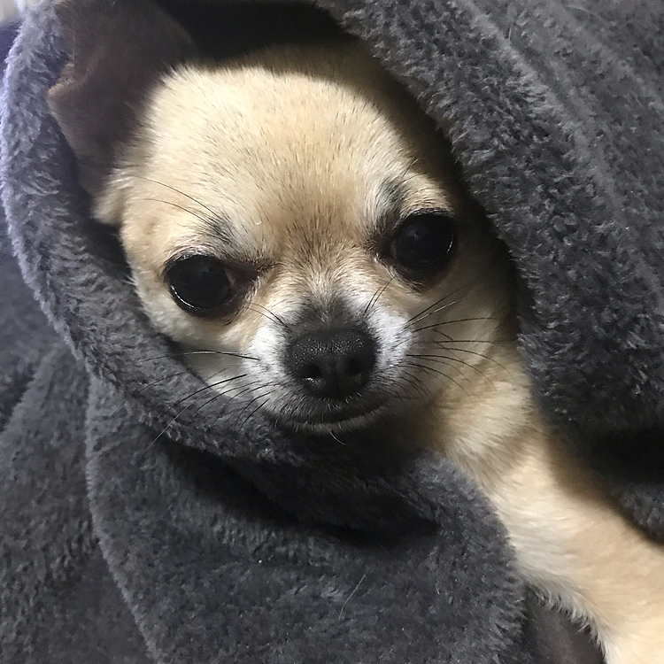 こんばんは🌙
今週は、12月らしい空模様で雪も降り❄️とても寒い1週間でした🥶
